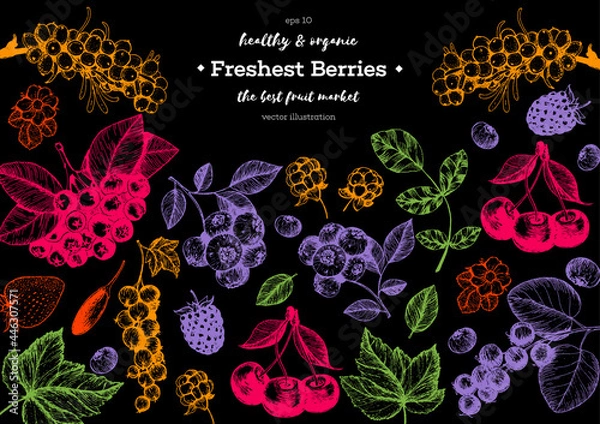 Fototapeta Berries hand drawn vector illustration frame. Hand drawn sketch illustration with sea buckthorn, goji berries, cloudberry, blueberry, strawberry. Healthy food design template with berries
