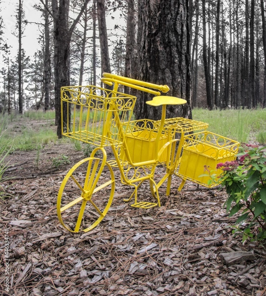 Fototapeta Old fashioned metal yellow bicycle  
