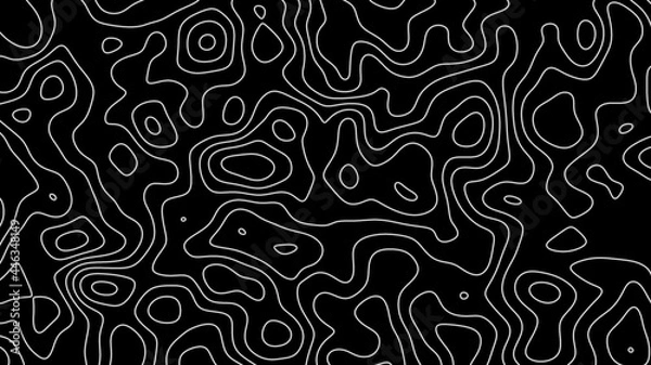 Obraz Fractal lines background. Topographic map like abstract backdrop