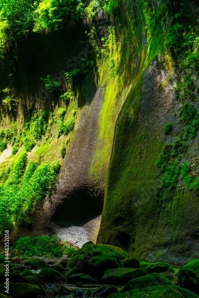 Fototapeta 由布川峡谷