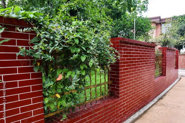Obraz red brick wall with ivy