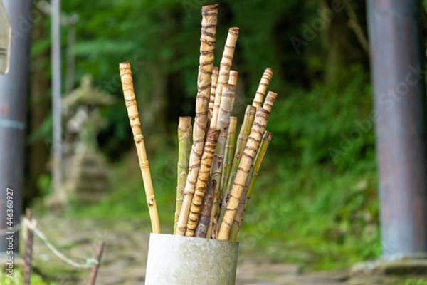 Obraz 英彦山豊前坊展望台登山口（高住神社参道）