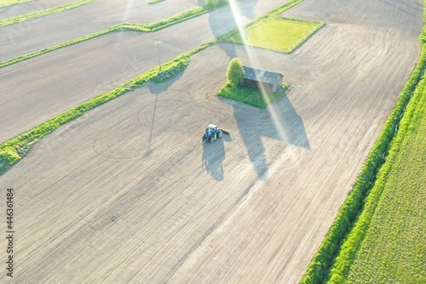 Obraz tractor in the field