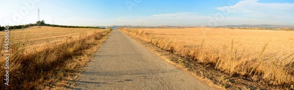 Obraz Sardinia, rural landscape