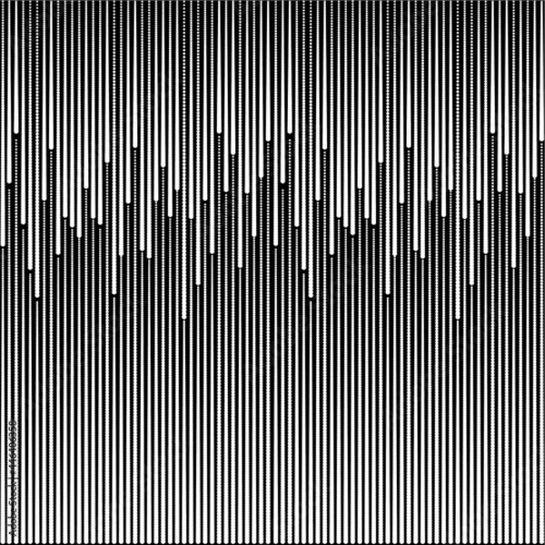 Obraz White line halftone on vector black background 