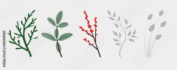 Obraz Vector branches of winter plants, conifers christmas tree, holly plant berries and ears. Perfect for christmas and new year designs.