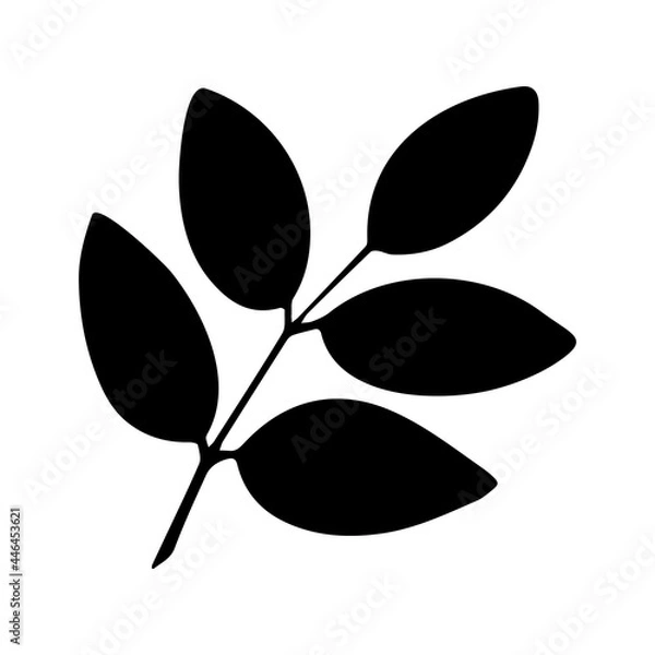 Obraz Rowan leaf black silhouette.Leaves icon.Vector illustration