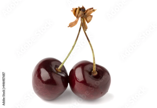 Fototapeta berry cherry on white background isolate