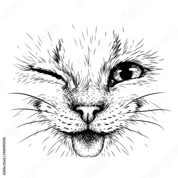 Fototapeta Funny Cat. Creative design. Graphic portrait of a smiles cat in close-up on a white background. Digital vector graphics.