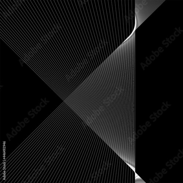 Obraz Black and white background, waves of lines, abstract wallpaper, vector design