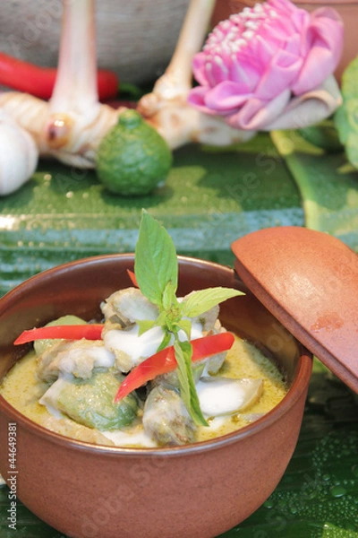 Obraz Green curry with chicken and eggplant, (Kaeng Khiao Wan Kai)
