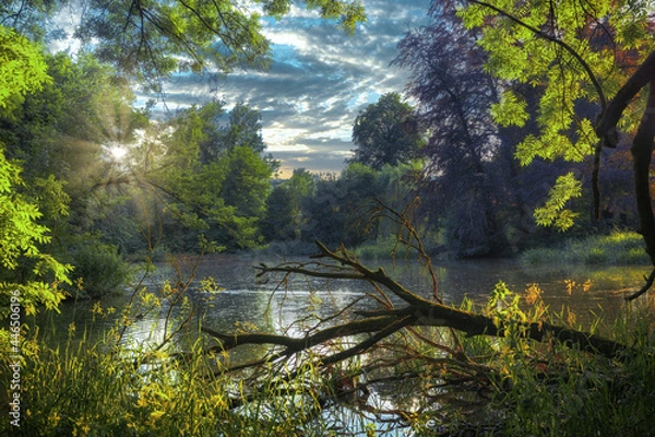 Obraz Fantastic enchanted place on a lake in the middle of the forest