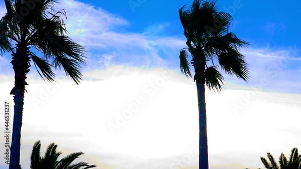 Obraz 風に揺れるヤシの木