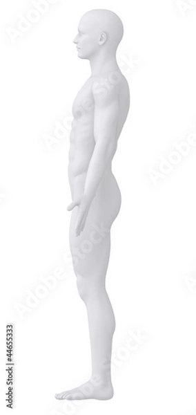 Obraz White male isolated in anatomical position lateral view