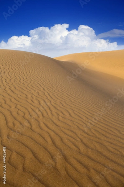 Obraz Desert sand dunes in Maspalomas Gran Canaria