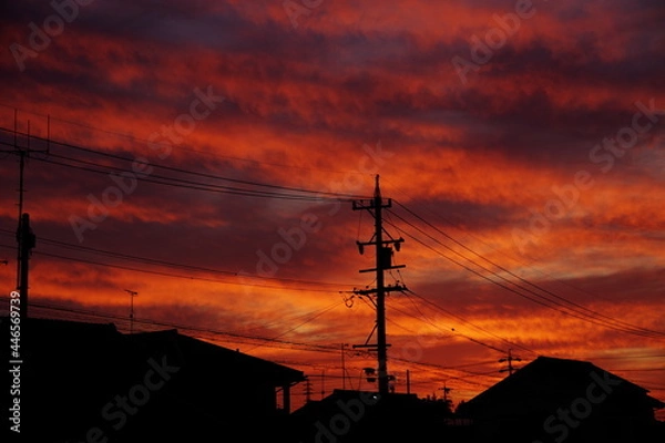 Fototapeta 夕焼け