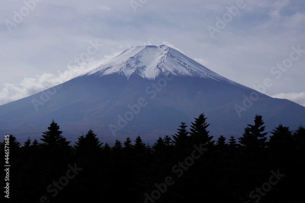 Fototapeta 富士山