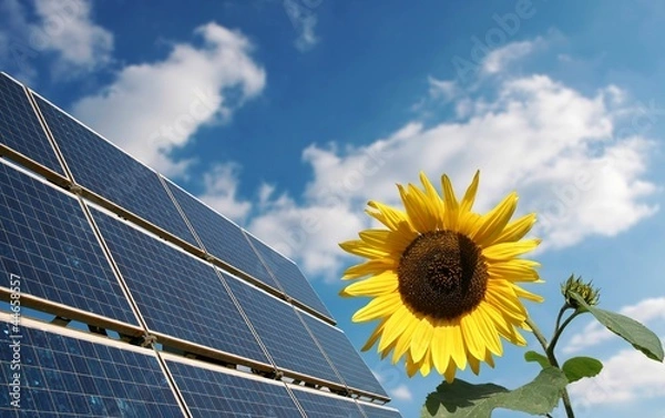 Obraz Solarenergie