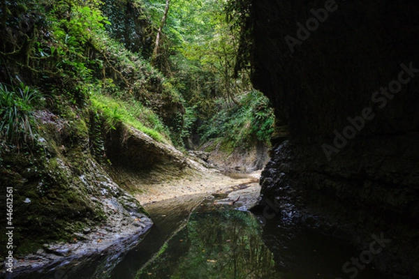 Fototapeta fancy formed mountain river canyon in the heart of wild greenforest
