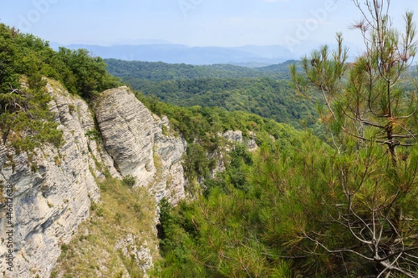 Fototapeta landscape view with high white rocks and pine tree branches and greenforest