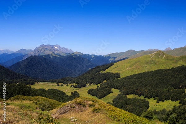 Fototapeta landscape view with rocky mountains covered with snow greenforest and alpine meadows in caucasus mountains