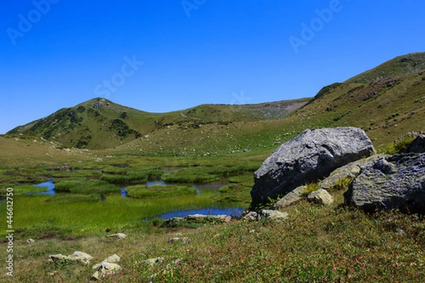 Fototapeta mountain landscape with big stones and lakes surrounded with alpine meadows with flowers