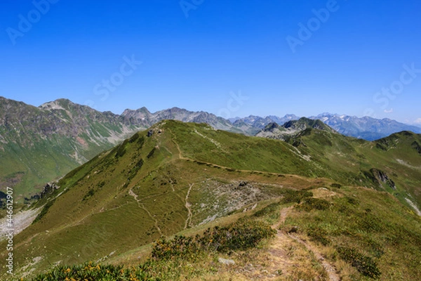 Fototapeta sandy footpath across the mountain range covered with alpine meadows