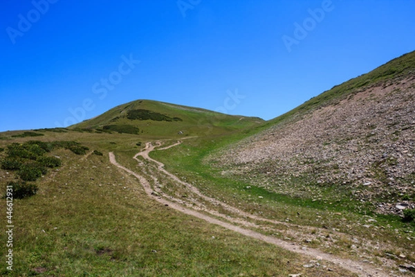 Fototapeta sandy footpath to the top of the mountain covered with alpine meadows