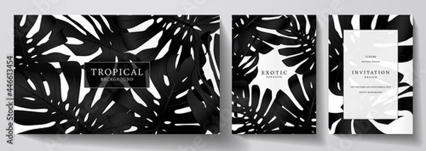 Fototapeta Exotic black and white banner, cover design set. Floral background with tropical pattern of leaf monstera plant. Premium horizontal, vertical vector template for invitation, luxury voucher, gift card