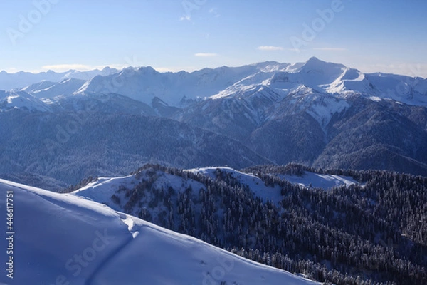 Fototapeta high mountain winter landscape and slopes covered with pine forest and snow