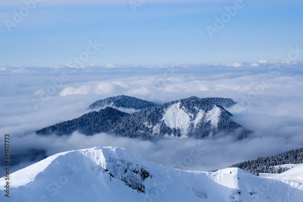 Fototapeta mountains covered with snow and forest in the middle of the clouds