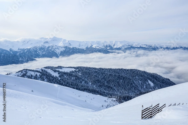 Fototapeta mountains of main Caucasian Ridge covered with snow and forest and wooden fence