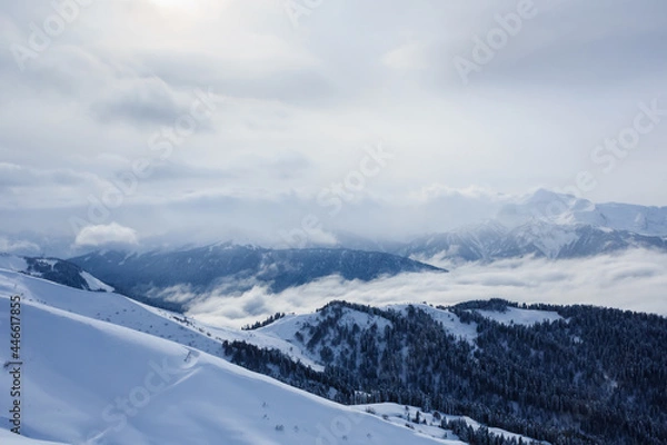 Fototapeta winter mountain landscape with peaks covered with snow and forest in the clouds