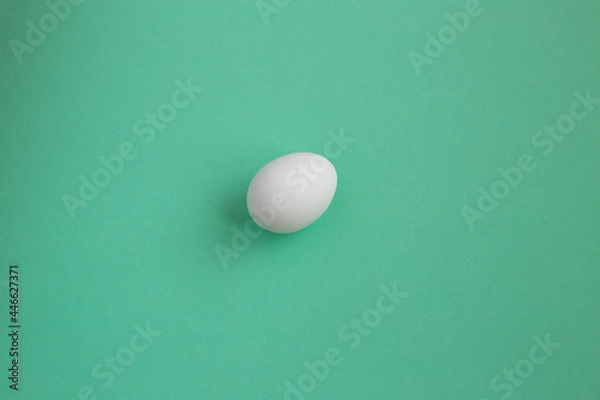 Fototapeta egg on a green background