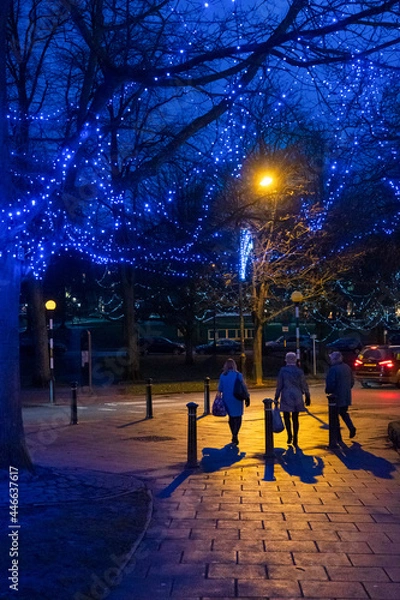 Fototapeta Three shoppers pass a Sparkling Blue Lights-lit tree in Harrogate, North Yorkshire, UK, during the Blue Hour.