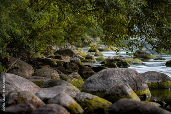 Obraz landscape conceptual photography of an empty tranquility stoned picturesque seashore under lush tree branches with yellow-green foliage