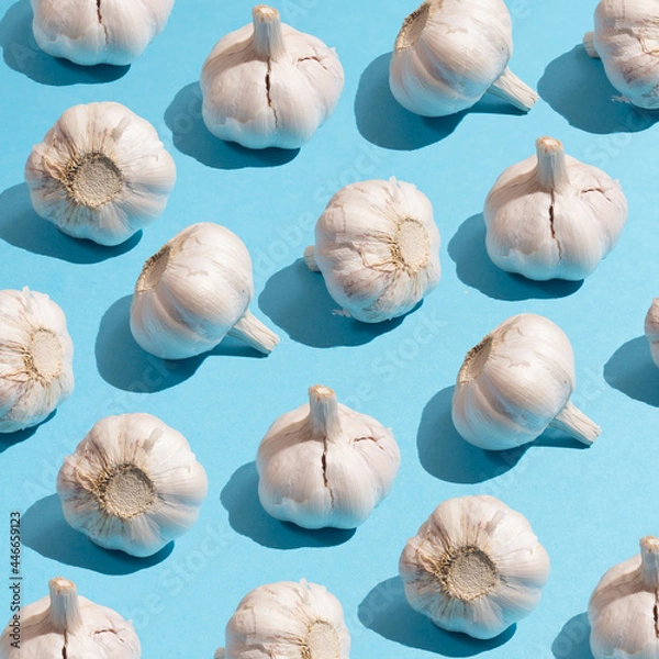 Obraz Garlic background pattern