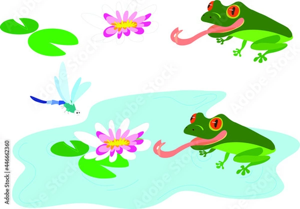 Obraz A red-eyed frog prepares to dine with a dragonfly. Vector illustration with a frog and a dragonfly on a pond with a beautiful white water lily.
