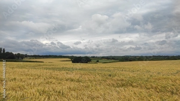 Obraz landscape with clouds