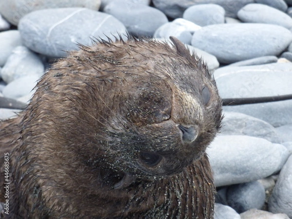 Obraz If I put my head upside down do you look different?