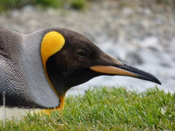 Obraz Soaking up the sun