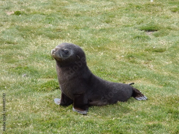 Obraz Curious youngster