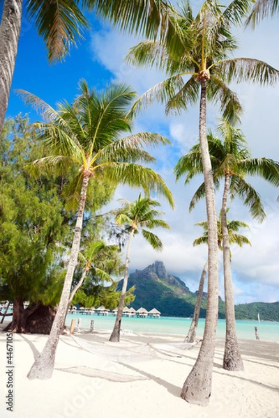 Obraz Bora Bora beach