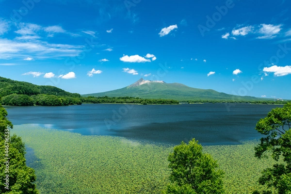 Obraz 北海道　夏の駒ヶ岳の風景