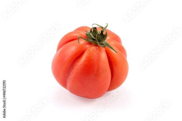 Obraz Tomate rojo fondo blanco