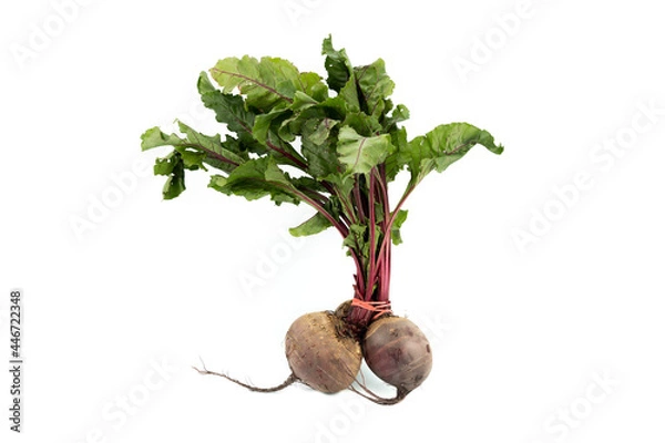 Fototapeta Remolacha aislada