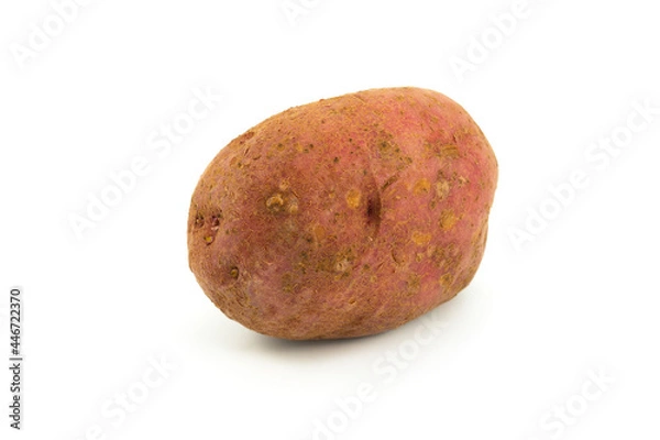 Obraz Patata fondo blanco