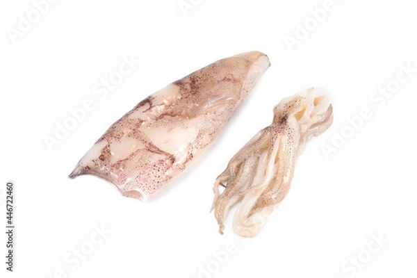 Fototapeta Calamar limpio entero fondo blanco