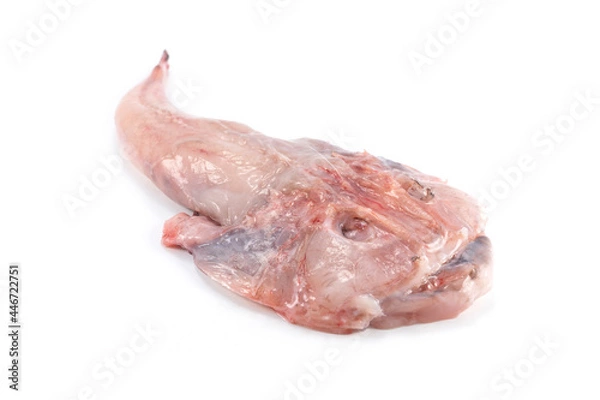 Fototapeta Rape fresco fondo blanco