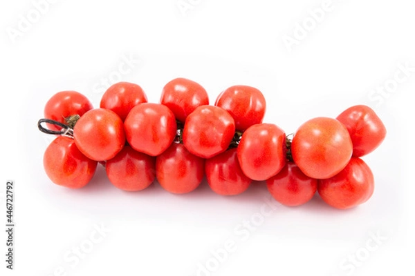 Fototapeta Tomate rama